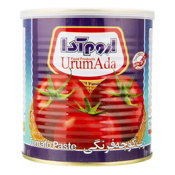 رب گوجه فرنگی اروم ادا 800 گرم