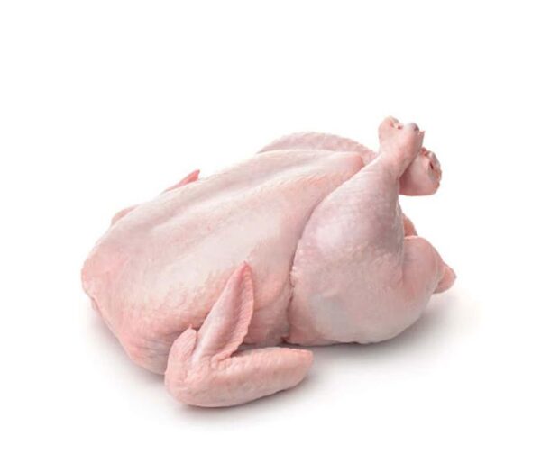 مرغ گرم